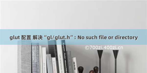 glut 配置 解决“gl/glut.h”: No such file or directory