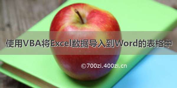 使用VBA将Excel数据导入到Word的表格中