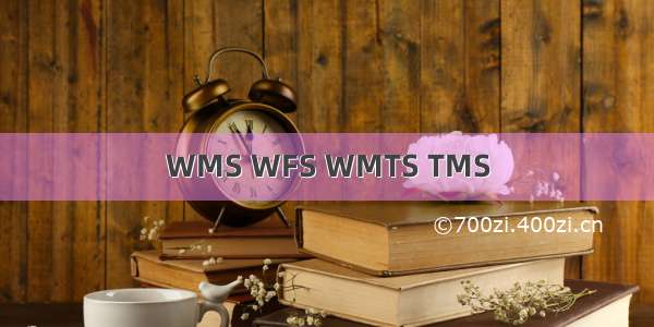 WMS WFS WMTS TMS