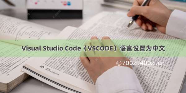 Visual Studio Code（VSCODE）语言设置为中文