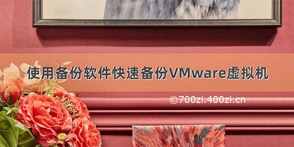 使用备份软件快速备份VMware虚拟机