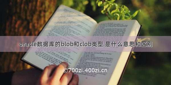 oracle数据库的blob和clob类型 是什么意思和区别