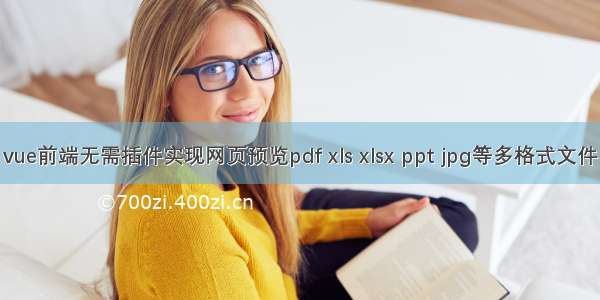 vue前端无需插件实现网页预览pdf xls xlsx ppt jpg等多格式文件