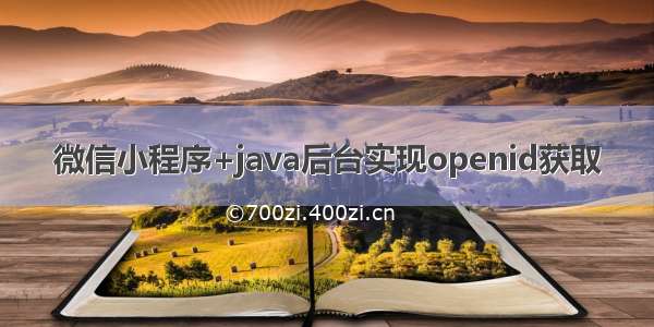 微信小程序+java后台实现openid获取