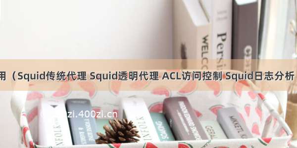 Squid服务器应用（Squid传统代理 Squid透明代理 ACL访问控制 Squid日志分析 Squid反向代理）