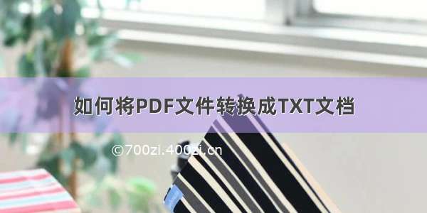 如何将PDF文件转换成TXT文档