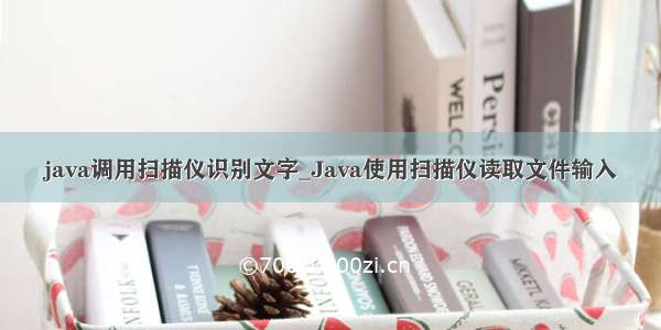 java调用扫描仪识别文字_Java使用扫描仪读取文件输入