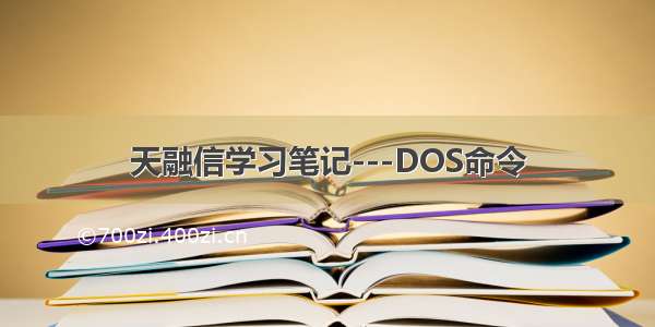 天融信学习笔记---DOS命令