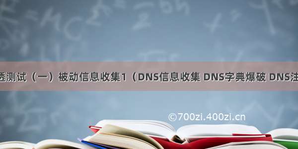 WEB渗透测试（一）被动信息收集1（DNS信息收集 DNS字典爆破 DNS注册信息）