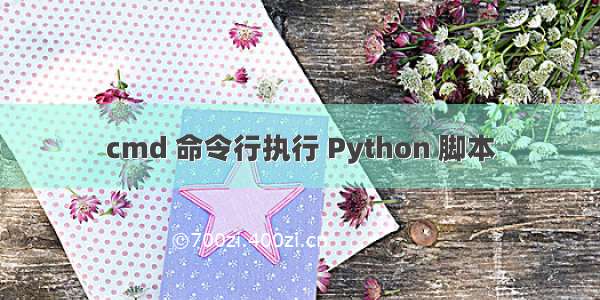 cmd 命令行执行 Python 脚本