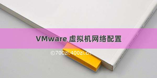 VMware 虚拟机网络配置