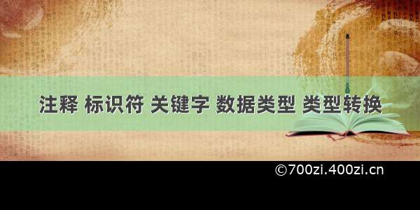 注释 标识符 关键字 数据类型 类型转换