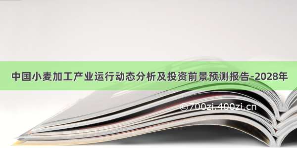 中国小麦加工产业运行动态分析及投资前景预测报告-2028年