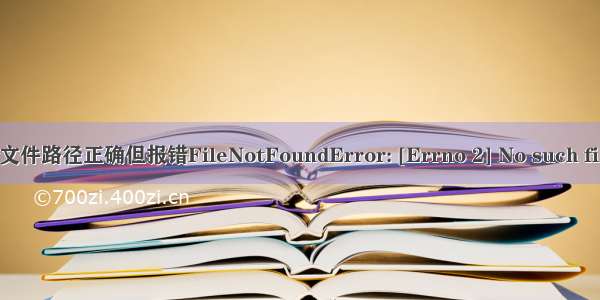 python读取csv文件路径正确但报错FileNotFoundError: [Errno 2] No such file or directory