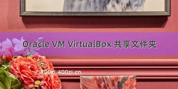 Oracle VM VirtualBox 共享文件夹