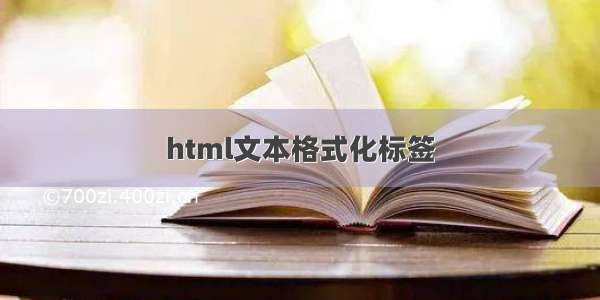 html文本格式化标签