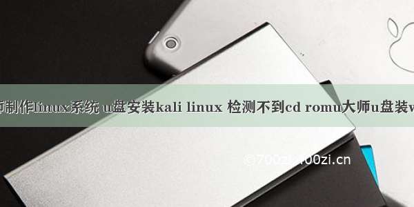 u大师制作linux系统 u盘安装kali linux 检测不到cd romu大师u盘装win10