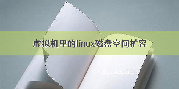 虚拟机里的linux磁盘空间扩容