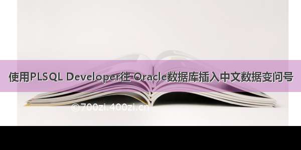 使用PLSQL Developer往 Oracle数据库插入中文数据变问号