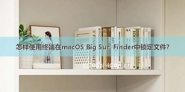 怎样使用终端在macOS Big Sur  Finder中锁定文件？