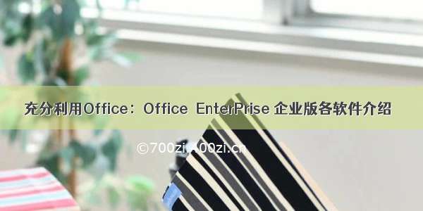 充分利用Office：Office  EnterPrise 企业版各软件介绍