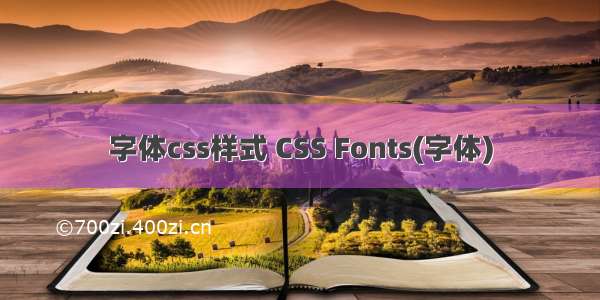 字体css样式 CSS Fonts(字体)