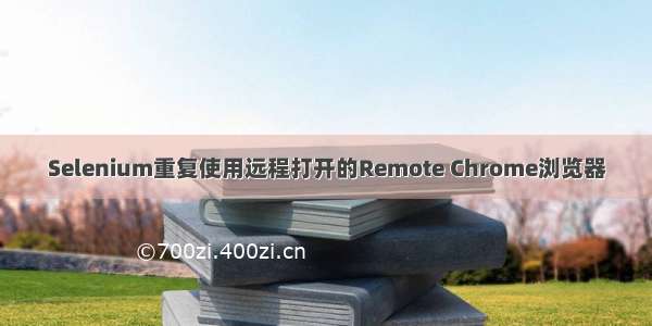 Selenium重复使用远程打开的Remote Chrome浏览器