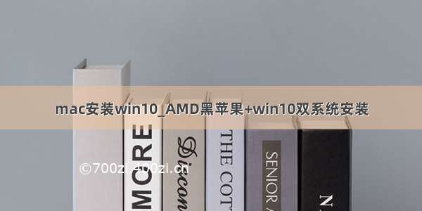 mac安装win10_AMD黑苹果+win10双系统安装