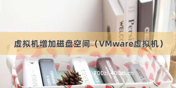 虚拟机增加磁盘空间（VMware虚拟机）