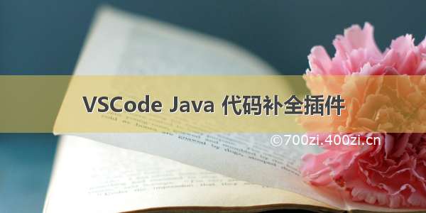 VSCode Java 代码补全插件