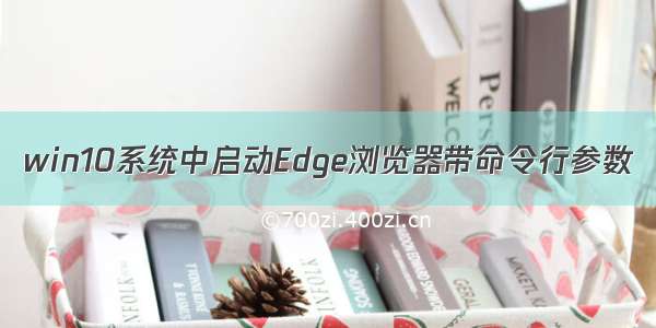 win10系统中启动Edge浏览器带命令行参数