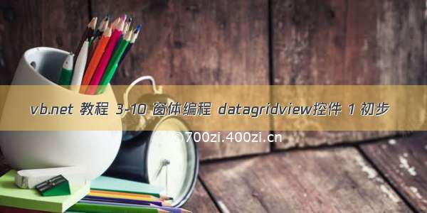 vb.net 教程 3-10 窗体编程 datagridview控件 1 初步