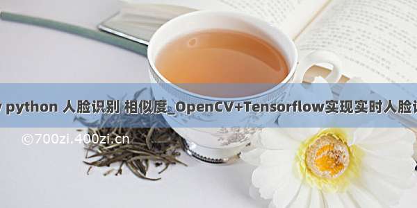 opencv python 人脸识别 相似度_OpenCV+Tensorflow实现实时人脸识别演示