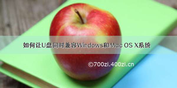 如何让U盘同时兼容Windows和Mac OS X系统