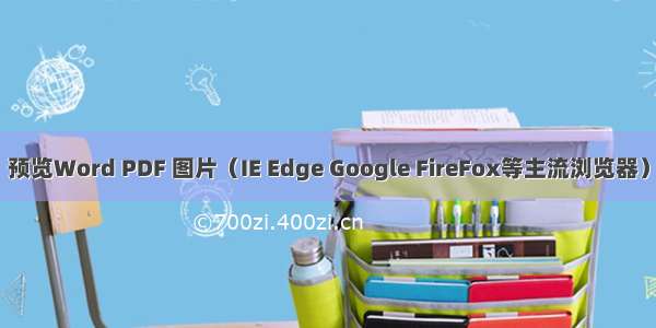 预览Word PDF 图片（IE Edge Google FireFox等主流浏览器）