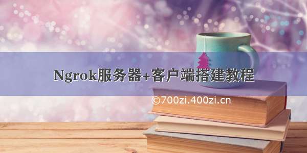 Ngrok服务器+客户端搭建教程