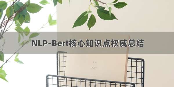 NLP-Bert核心知识点权威总结