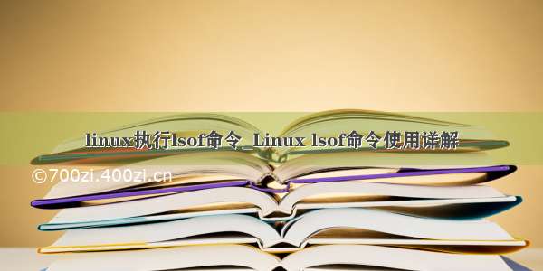 linux执行lsof命令_Linux lsof命令使用详解
