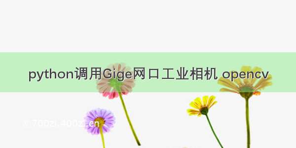 python调用Gige网口工业相机 opencv