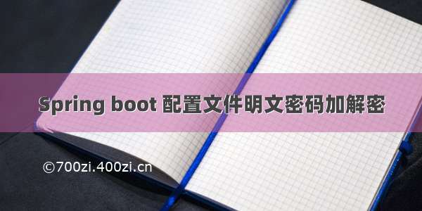 Spring boot 配置文件明文密码加解密