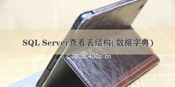 SQL Server查看表结构(数据字典)