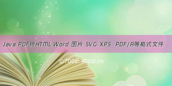 Java PDF转HTML Word 图片 SVG XPS  PDF/A等格式文件