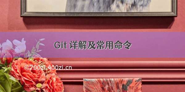 Git 详解及常用命令