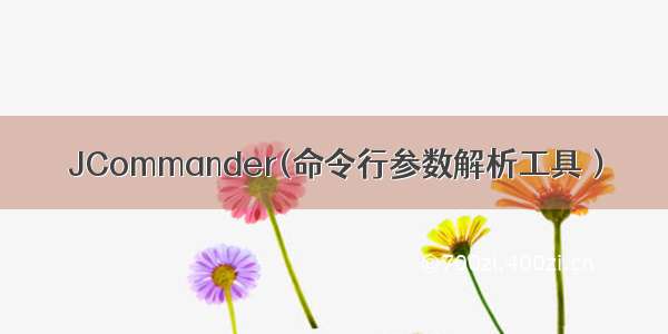 JCommander(命令行参数解析工具）