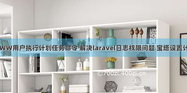 宝塔面板使用WWW用户执行计划任务命令 解决laravel日志权限问题 宝塔设置计划任务执行用户