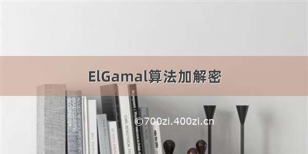 ElGamal算法加解密