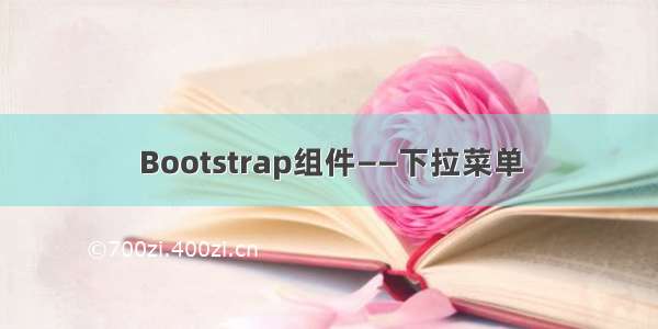 Bootstrap组件——下拉菜单