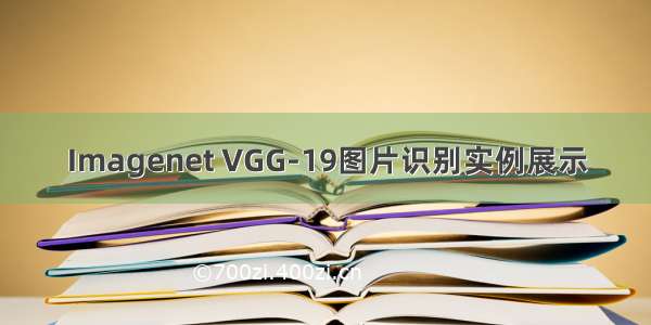 Imagenet VGG-19图片识别实例展示