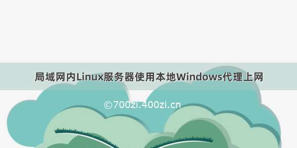 局域网内Linux服务器使用本地Windows代理上网