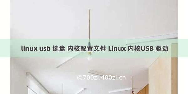 linux usb 键盘 内核配置文件 Linux 内核USB 驱动